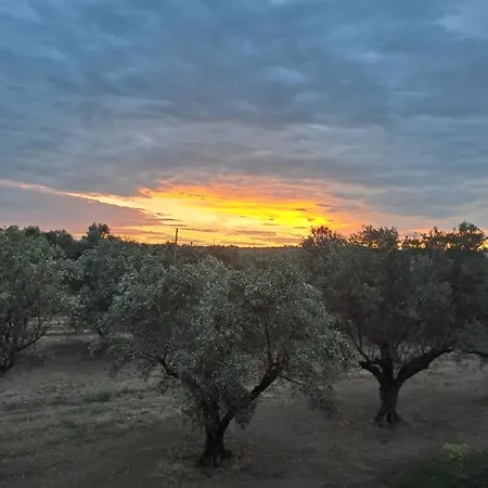 Apartment Casa Torelli Sellia Marina